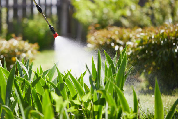 Tamper-Resistant Bait Stations for Rodents in Mount Ida